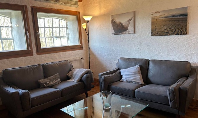 Vollerwiek Cottage | Seal - hoarfrost by the sea