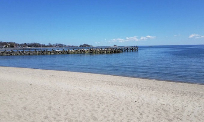 Cove - East Side - Shippan House | Seascape Beach Home