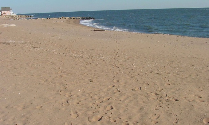 Momauguin Cottage | Seaside cottage close to Yale