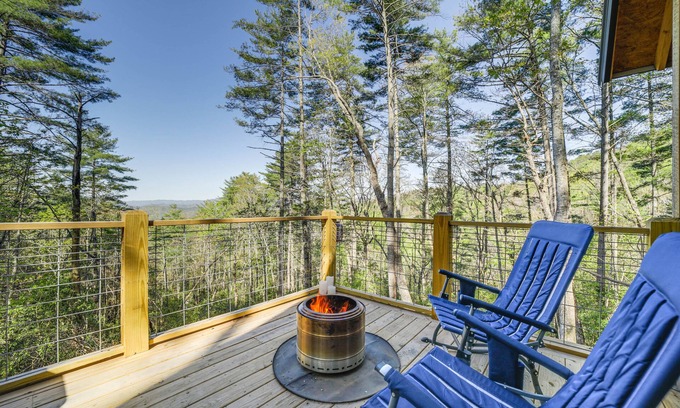 Brevard Cabin | Secluded Brevard Cabin w/Private Waterfall!