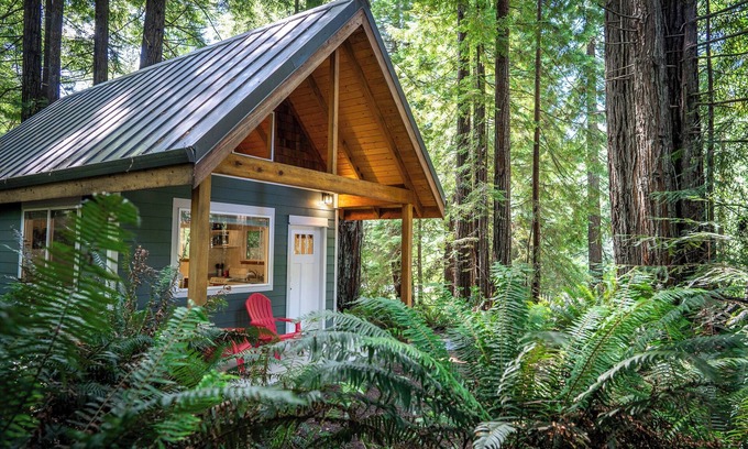 Crescent City Cabin | Secluded Cabin in Redwood Forest