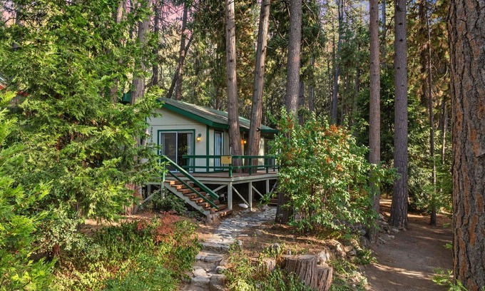 Idyllwild Cabin | Secluded Cozy Cottage: Walk to Town, Private