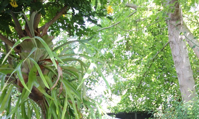 West Busselton House | Secret Garden Cottage! Hot outdoor bath with minutes to beach.