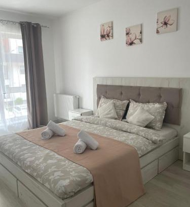 Brasov Apartment | Selina Apart Transilvania Brasov