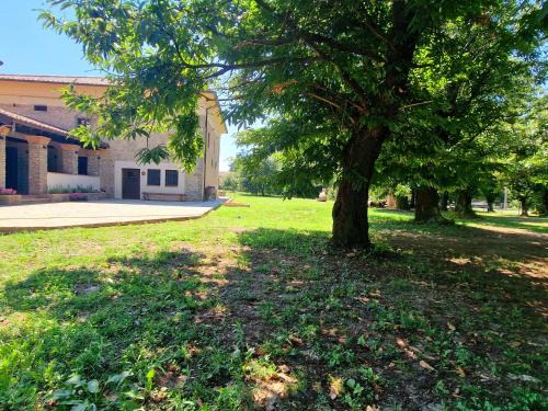 Villafranca in Lunigiana Apartment | Sentinella dei castagni