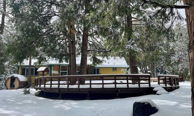 Pine Cove Cabin | Serene & Magical Cabin - Family/ADA-Friendly, w/Barrel Sauna & Fireplace!