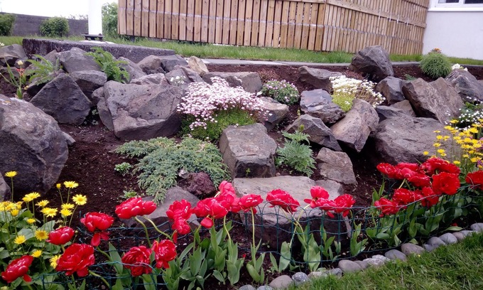 Borgarbyggd House | Setrið Guesthouse