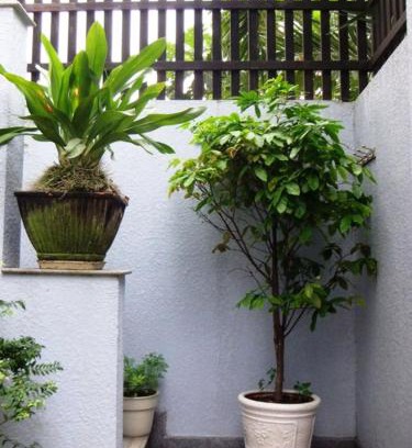 An Phu House | Shanti-blissed corner of Saigon river's end