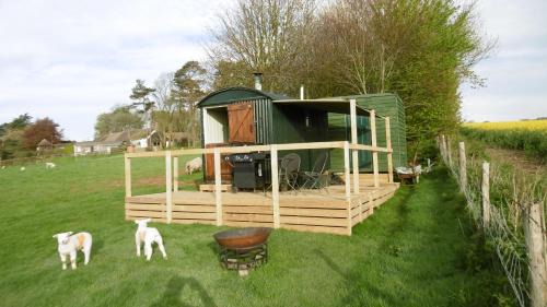 Milton Abbas Other | Shepherd's Hut
