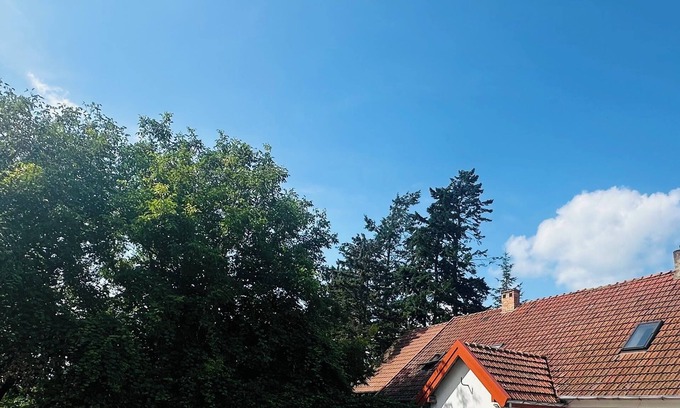 Pasym Apartment | Sielski Loft Mazury w pobliżu jezior, Elganowo, Pasym