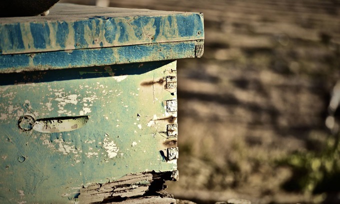 Sifnos Villa | Sifnos Roots with private plunge pool