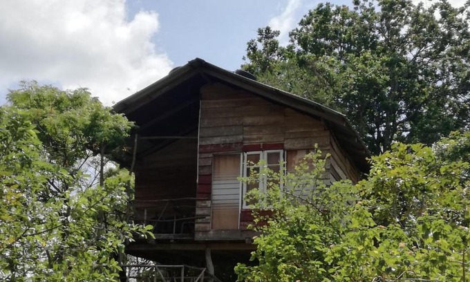 Sigiriya Resort | Sigiri Forest View