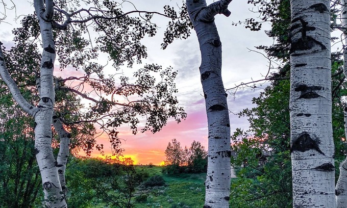 Oak Creek House | Skiing, Fishing, Hiking this log home is the perfect location to create memories