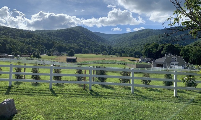 Waynesville House | Sleeps 11 - Mountain Views! Enjoy watching Alpacas & Mini Horses from your deck