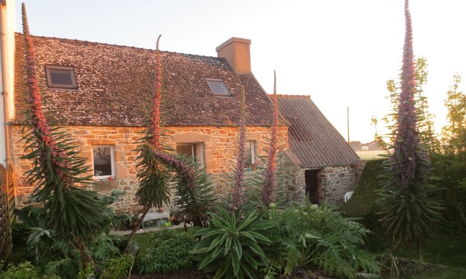 Saint-Jean-du-Doigt Cottage | Small Breton cottage Close To Beautiful Beaches Friday change-over sleeps 4/5