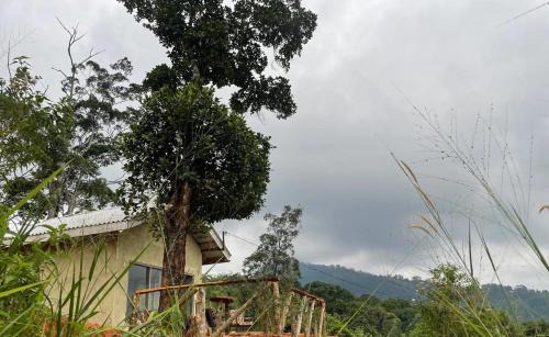 Gomara Cabin | Solitary Cottage Dunhinna