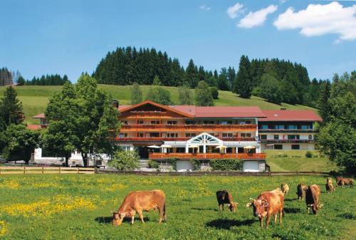 Fischen im Allgaeu Hotel | Sonnenbichl Hotel am Rotfischbach