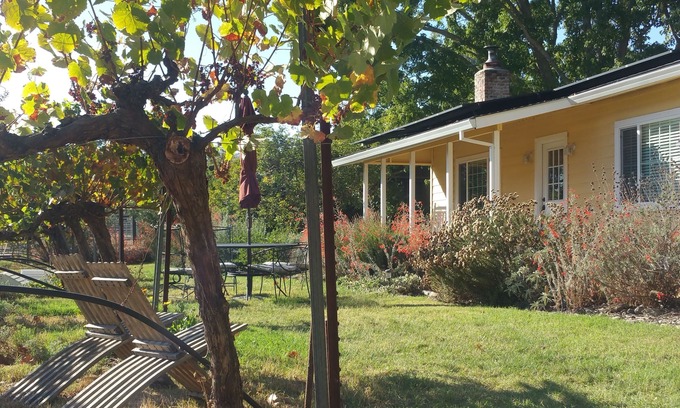 Sonoma Cottage | Sonoma Vineyard Cottage - enjoy wine country life. Peaceful yet central locale!