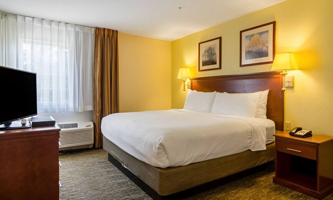 Arlington House | Sophisticated Room w/ Cozy Ambiance! Pet-Friendly