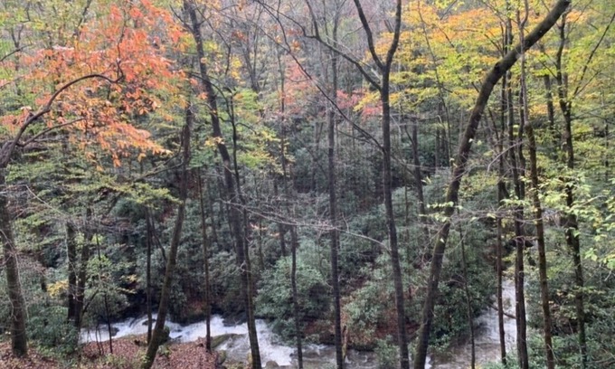 Otto House | Sound of Rushing RAPIDS/Private wooded location/Hiking Trail/Hot Tub