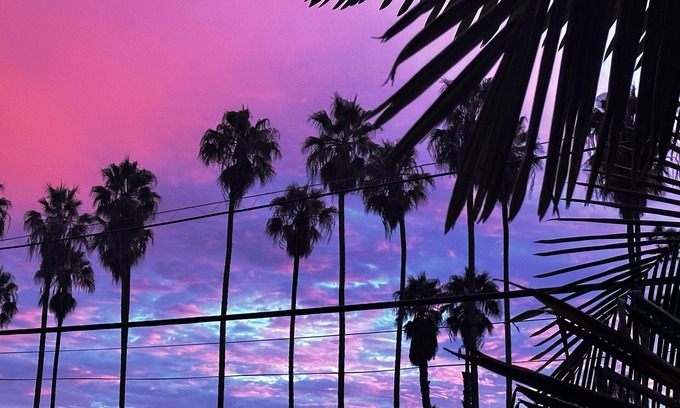 Park Mesa Heights Apartment | Spacious 1Bedroom w/laundry, near stadiums/hospitals/metro