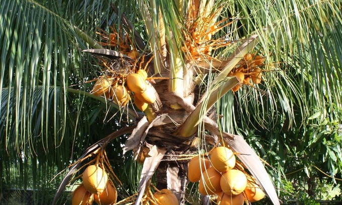 Durants Cottage | Spacious 2 bedroom, 1 bathroom, sleeps 5, family friendly cottage