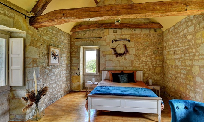 Deneze-sous-Doue Other | Spacious 320 m² Country Manor with Pool, WiFi & Gardens