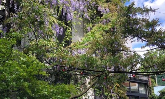 Antwerp House | Spacious 5-bedroom back house in beautiful Antwerp with AC and rooftop terrace