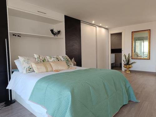 San Vicente del Raspeig Apartment | Spacious Studio by the University