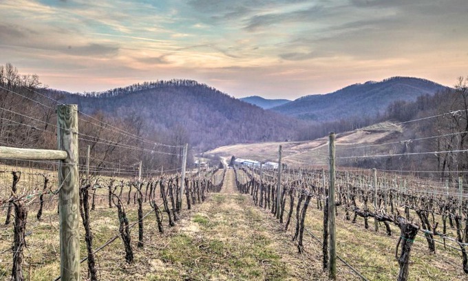 Faber House | Spacious Faber Home with Yard, Steps to Winery!