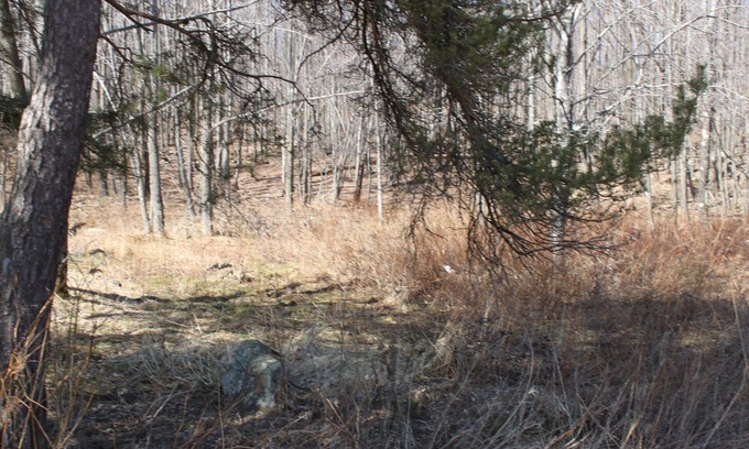 Lakewood House | Spacious PA family home,near ski resort,fly fishing,snowmobile trail, sleeps 12+