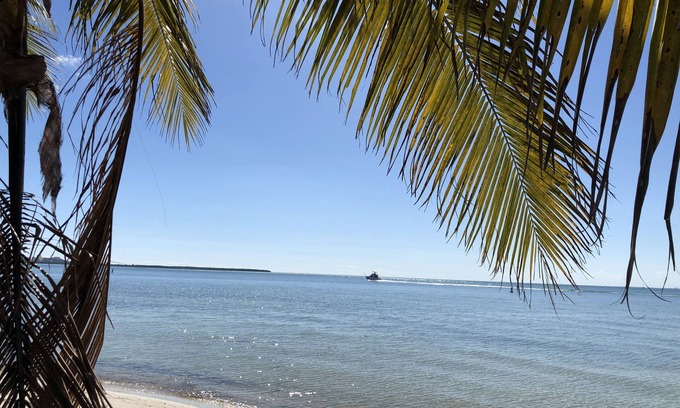 Coconut Grove Cottage | 🐕🦺❤️SPECIAL PROMO Romantic Beautiful Cottage in idyllic GROVE neighborhood