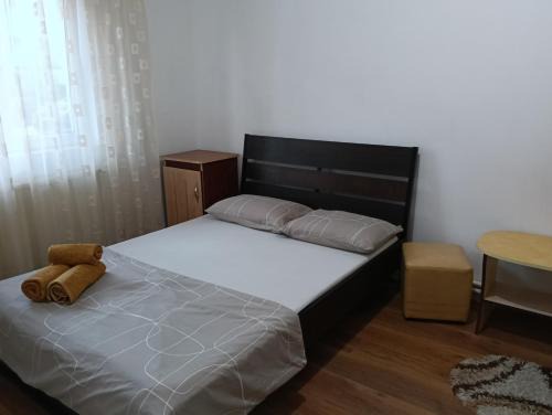 Singeorgiu de Mures Apartment | Spital studio Mureșului