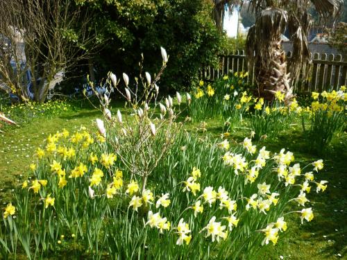 Ventnor House | St Maur