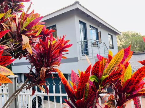 Berea House | Starlight Guest house
