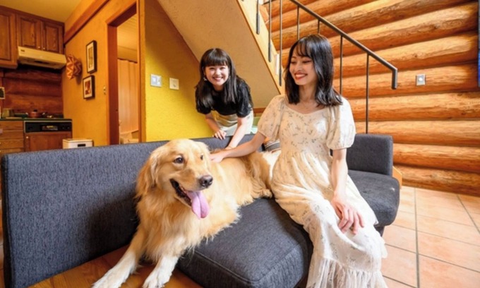 Shima Hotel | Staying with pets 4 beds Pet fee 2000 yen per /Shima Mie