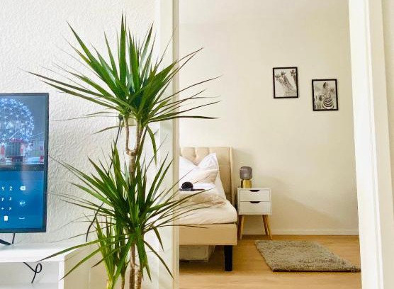 Andreasvorstadt Apartment | Stilvolles Apartment in zentraler Lage - Smart-TV, Queensize-Bett, Altbaustil, Küche in City-Nähe