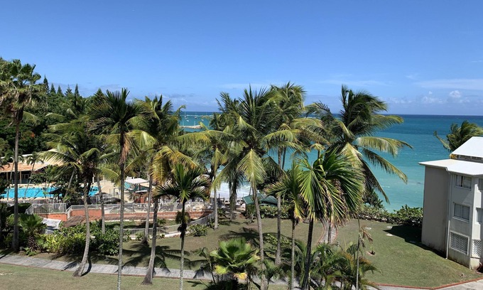 Pointe de la verdure Apartment | Studio 41m² sea view, beach access, ideally located