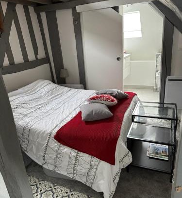 La Ferte-Bernard Apartment | Studio atypique