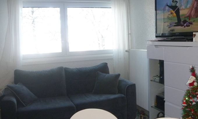 Les Adrets Apartment | STUDIO cabin 33m2 at the foot of the slopes and shops