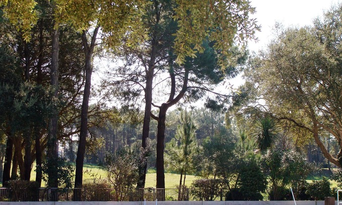 Moliets-et-Maa Apartment | Studio - MOLIETS ET MAA