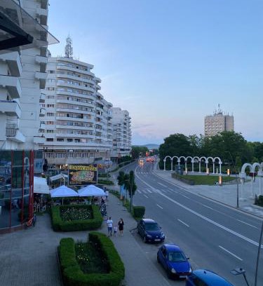 Alba Iulia Apartment | Studio PANORAMIC with Balcony and Parcul Unirii view