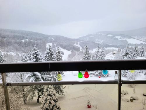 Villard-de-Lans Apartment | STUDIO plein sud "Les Arolles" Balcon de VILLARD DE LANS