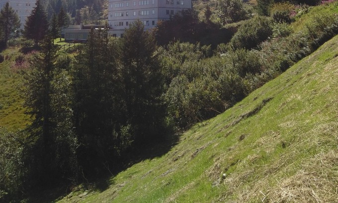 Passo del Tonale Apartment | Studio SettimoCielo 4 beds