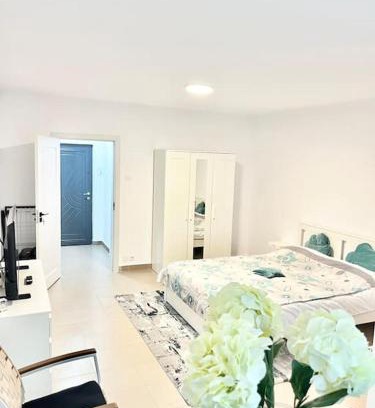 Drumul Taberei Apartment | Studio spațios Plaza Mall, Park Drumul Taberei