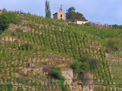 Les Vans Apartment | Studio Vans