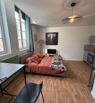 Mayenne Apartment | Studio Voyage - Proche centre ville