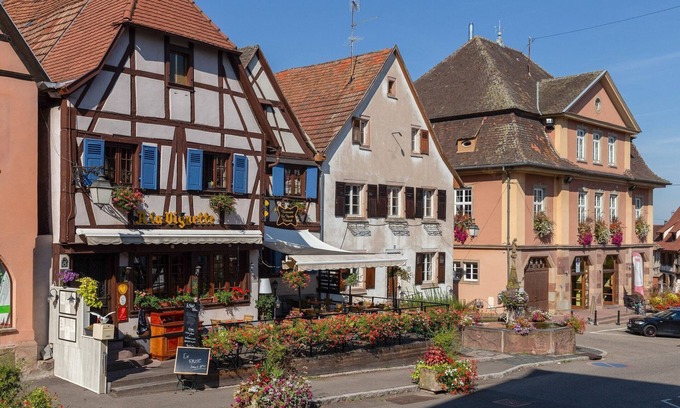 Dambach-la-Ville Apartment | Stunning Apartment in heart of Dambach La Ville
