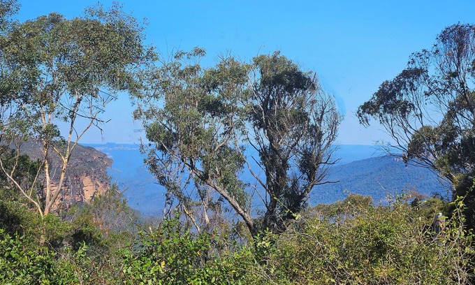 Wentworth Falls House | STUNNING VIEWS, fireplace, spa bath, 5 bedrooms, early check-in & late checkout.