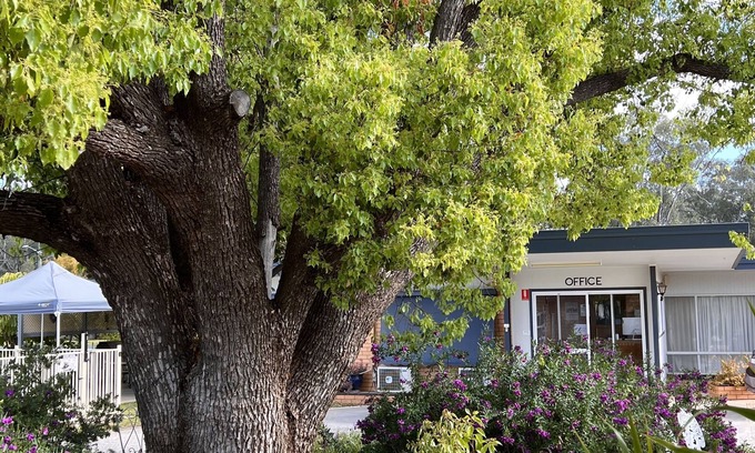 Balranald Hotel | Sturt Motel